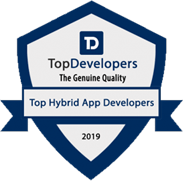 2019 TOP hybrid developers