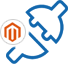 Custom Magento Plugin Development