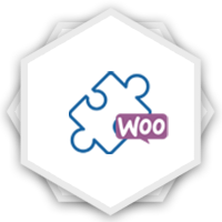 WooCommerce Plugins Development