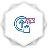 WooCommerce Upgradation & Migration