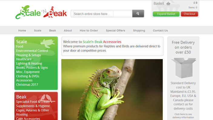 Website desktop layout