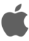 Tech Icon
