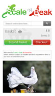 website Mobile layout