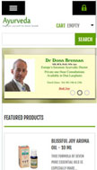 website Mobile layout