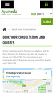 website Mobile layout