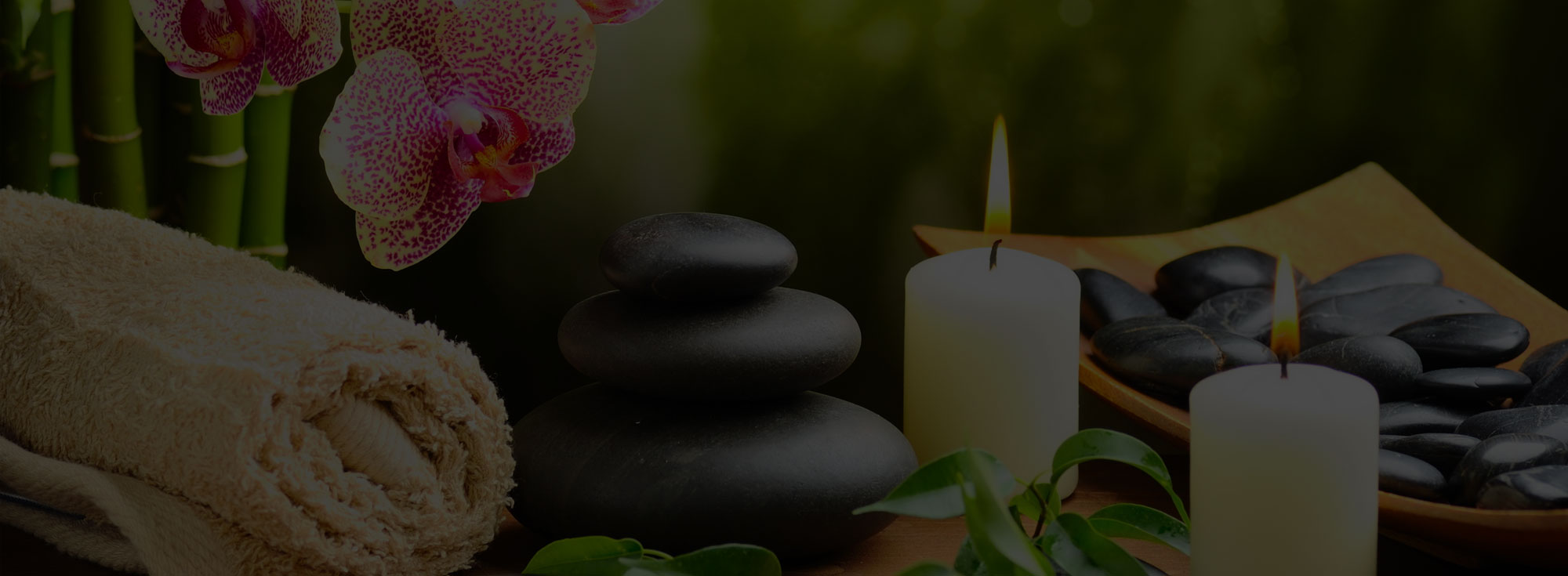 Ayurveda -detail-banner