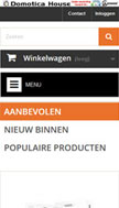 website Mobile layout