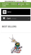 website Mobile layout