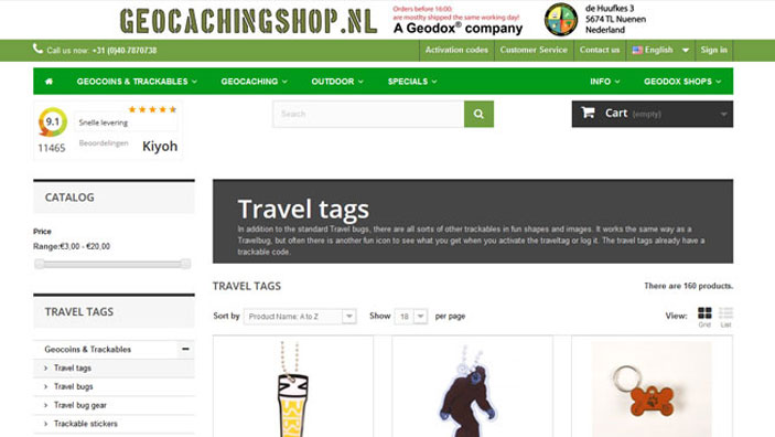 Website desktop layout