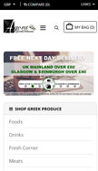 website Mobile layout
