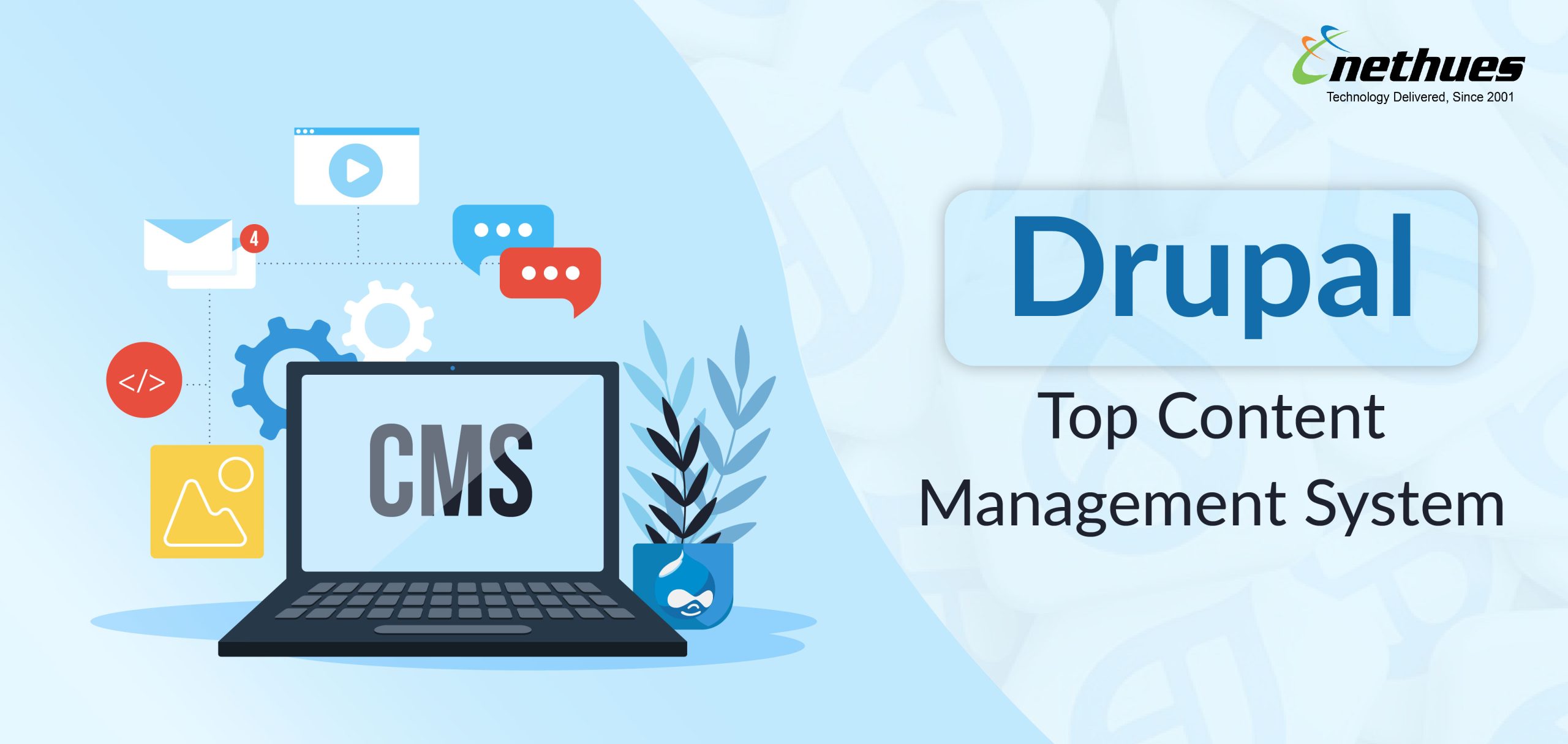 Why Drupal is a top content management system?