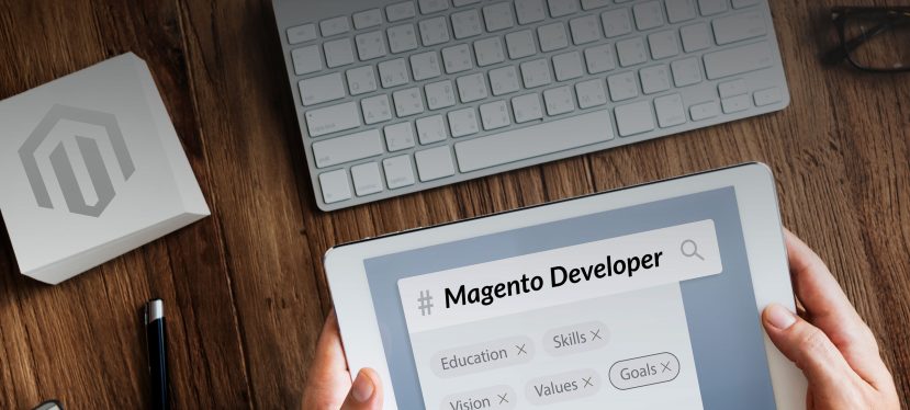 Hire Magento Developer