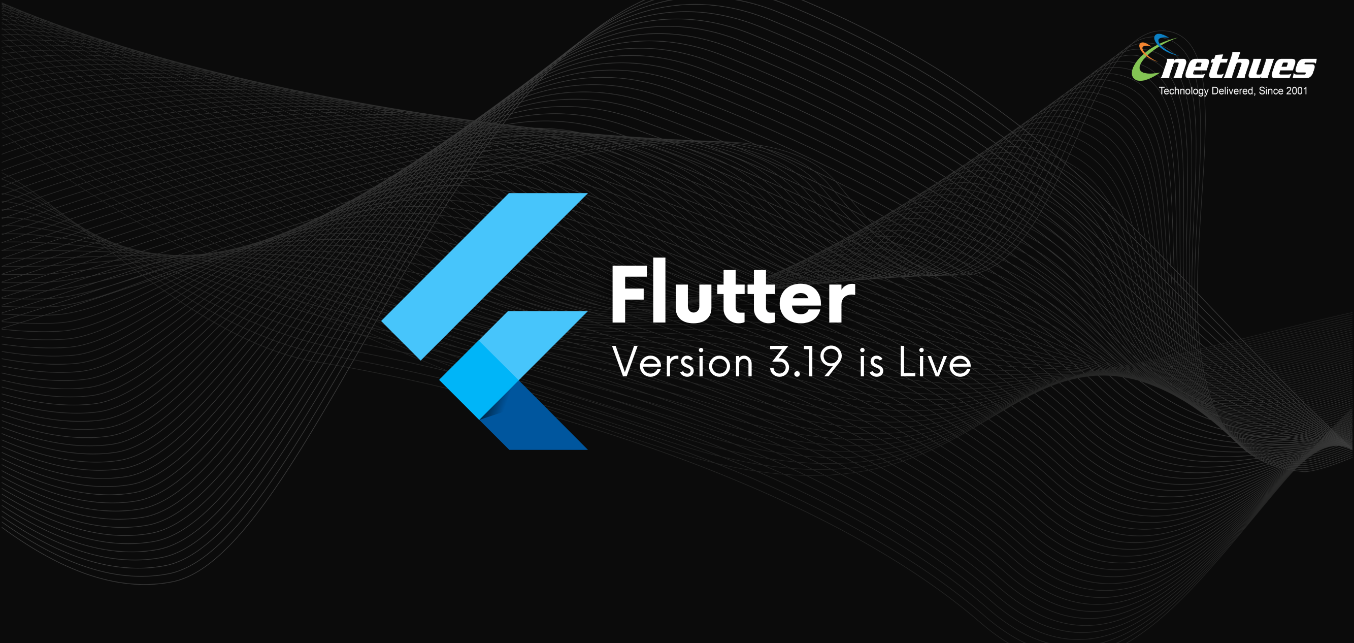 Flutter 3.19 Update