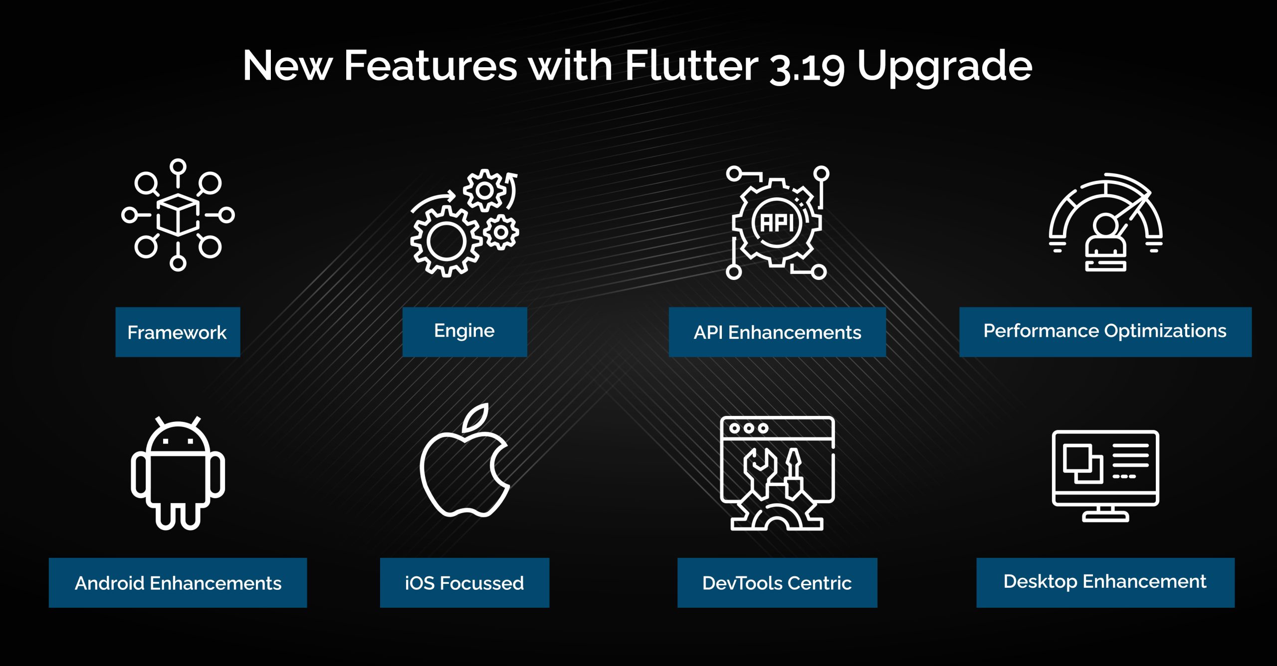 New Features with Flutter 3.19 Upgrade