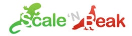 scale n beak