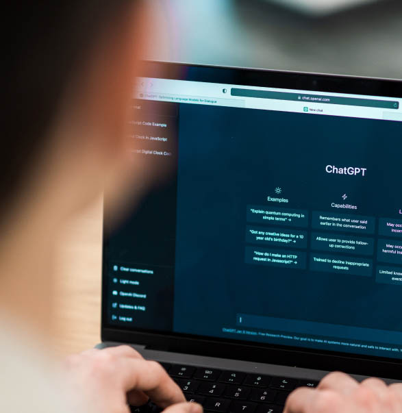 What Else Our AI Developers Can Do for You!